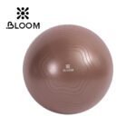 Brown Bloom anti-burst yoga ball
