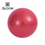 Red Bloom anti-burst yoga ball