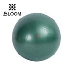 Green Bloom anti-burst yoga ball