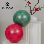 Bloom mini pilates balls