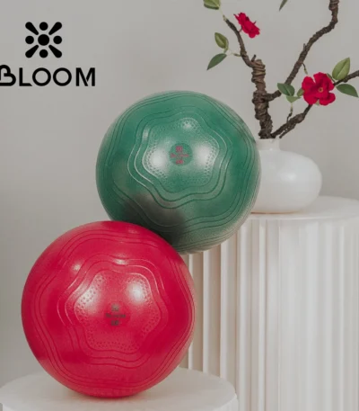 Bloom mini pilates balls