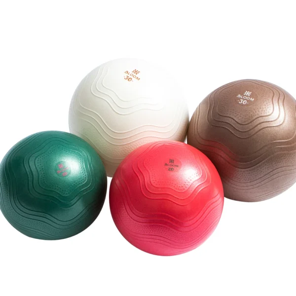 Bloom mini pilates balls